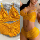 Lencería Femenina de Encaje Cachetero 🔥Compre 2 y llévese la tercera🔥