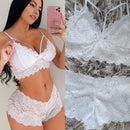 Lencería Femenina de Encaje Cachetero 🔥Compre 2 y llévese la tercera🔥