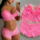 Lencería Femenina de Encaje Cachetero 🔥Compre 2 y llévese la tercera🔥